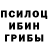 Псилоцибиновые грибы прущие грибы aiqau